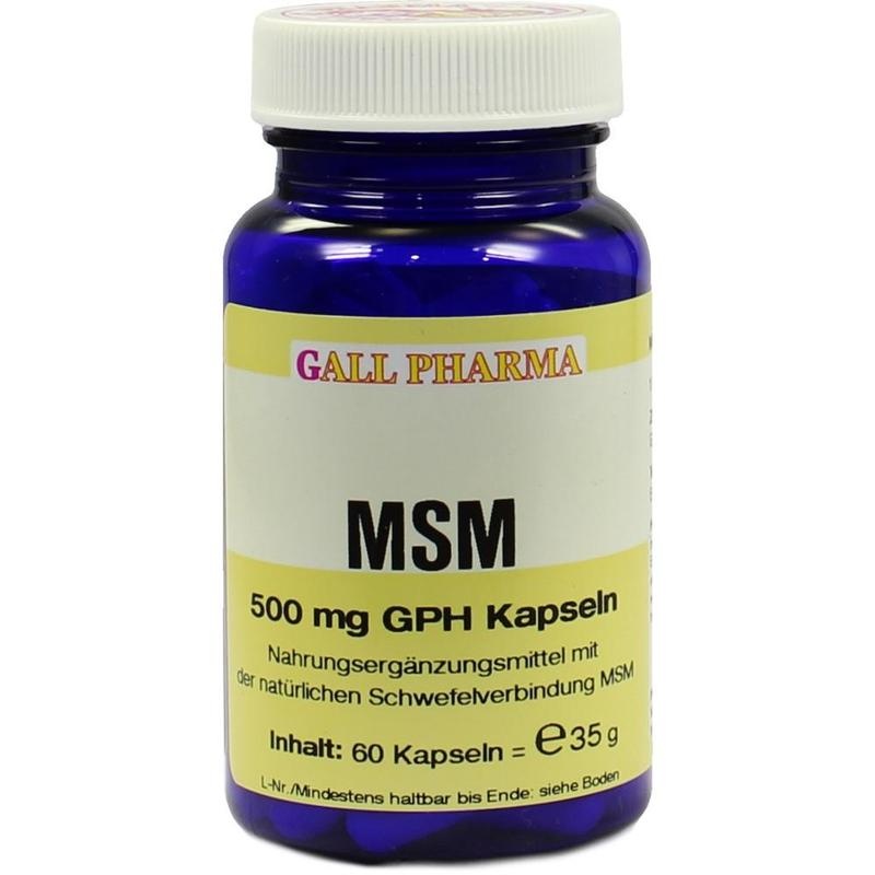 MSM 500 mg GPH Kapseln