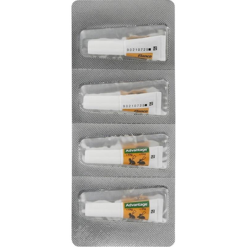 ADVANTAGE 40 mg Lsg.f.kl.Katzen/kl.Zierkaninchen