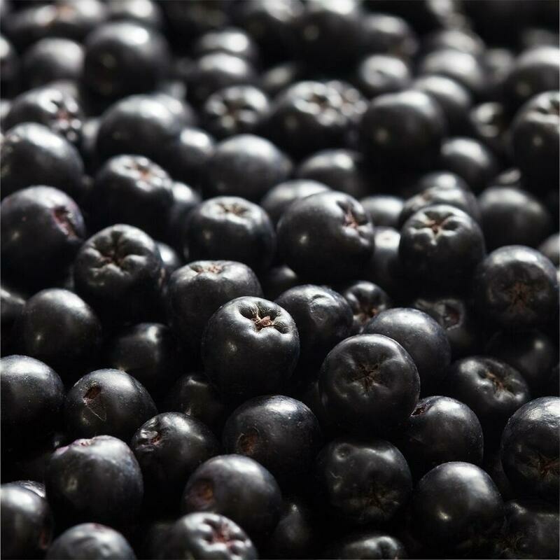 RAUSCH Aronia Anti-Grau Shampoo