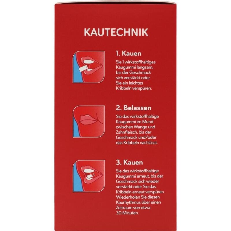 VOYE Mint 4 mg wirkstoffhalt.Kaugummi mit Nikotin